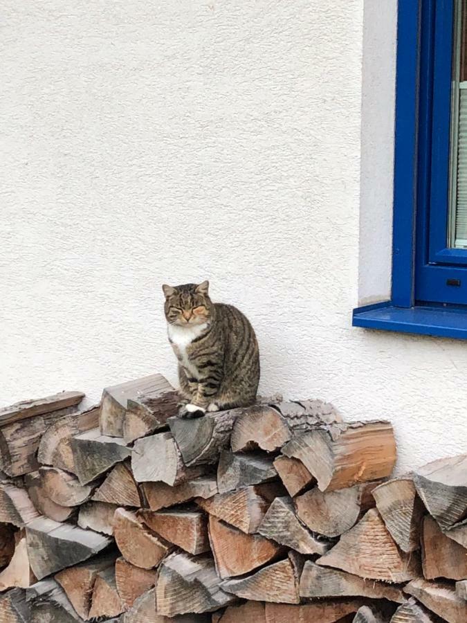 Haus Sonnenweg Villa Mariapfarr Dış mekan fotoğraf